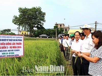 Đẩy mạnh công tác khuyến nông trong thực hiện tái cơ cấu ngành Nông nghiệp