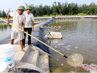 Hướng chuyển dịch kinh tế hộ và trang trại