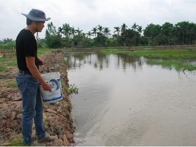 1m2 đất ruộng, giá ngang bát phở