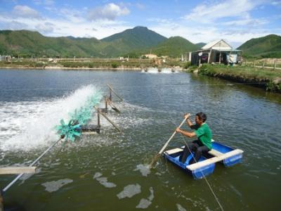 Hội thảo quy hoạch nuôi tôm nước lợ vùng đồng bằng sông Cửu Long đến năm 2020