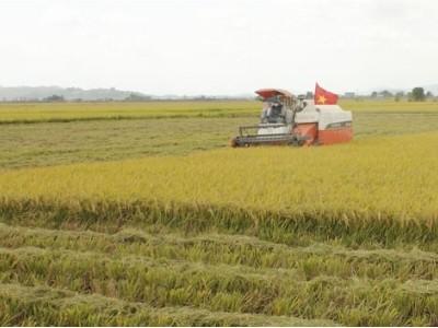 Buôn Choáh đẩy mạnh phát triển nông nghiệp hàng hóa