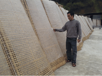 Chịu khó học hỏi ắt thành công