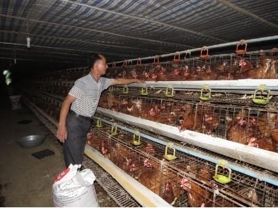 Làm ăn lớn từ vốn vay biến thách thức thành cơ hội