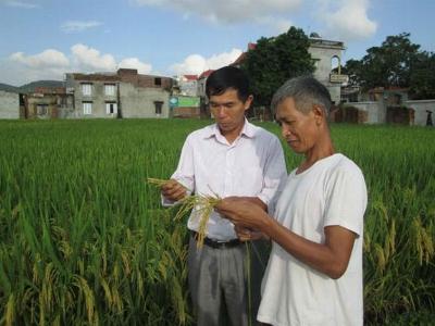 Hiệu quả từ mô hình bán phân bón trả chậm