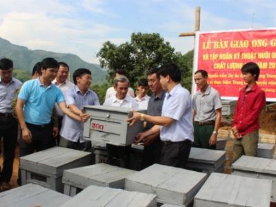 Cấp phát 200 đàn ong ngoại cho nông dân Bảo Hà, Kim Sơn (Bảo Yên, Lào Cai)