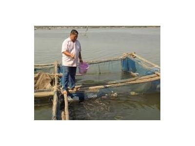 Phòng, chống dịch bệnh động vật thủy sản