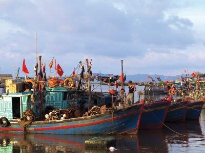 Hải Phòng đang thiếu lao động khai thác thủy sản