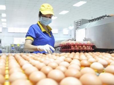 Sáng nay, ra mắt Chương trình địa chỉ Xanh - Nông sản Sạch