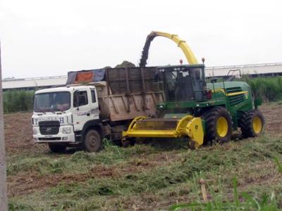 Bắc Trung Bộ có huyện Nông Thôn Mới đầu tiên