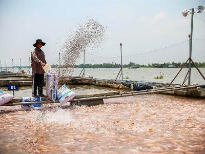 Mô hình hợp tác công tư trong phát triển thủy sản hiệu quả thiết thực