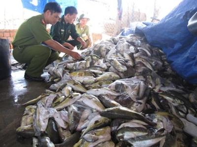 Buộc tiêu hủy hải sản không an toàn