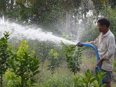 Cú hích giúp nhà nông gây dựng vườn cây ăn trái