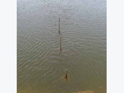 Turbidity Removal From Pond Waters