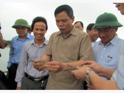 Nuôi tôm trên cát thu tiền tỷ: Lợi thế nhiều, thách thức không ít