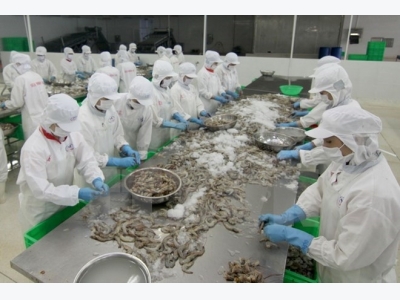 Vietnams shrimp export to Japan sees sharp increase