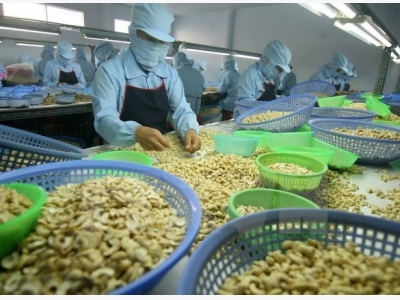 Binh Phuoc eyes more cashew products reaching global markets