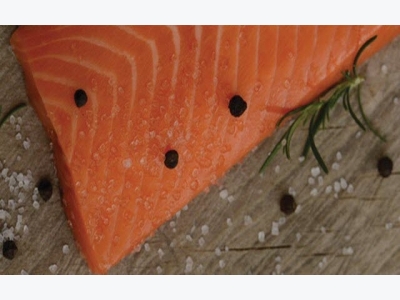 AquaChile develops new tech to genetically enhance tilapia, salmon
