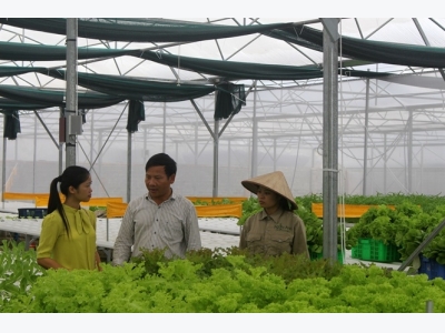 Rau sạch Thành Nam từng bước tạo dựng được thương hiệu