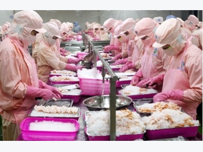 U.S. extends anti-dumping duty on Vietnam shrimp