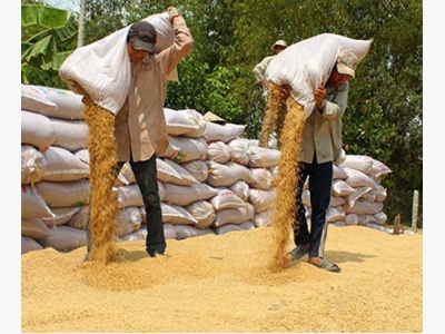 Vietnams Jan-April rice exports fall to 9-year low - govt