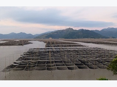 Damning water pollution report hurts aquaculture prospects in China