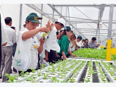 Nông dân Việt Nam xuất sắc phải đạt ít nhất 2 trong 4 tiêu chí