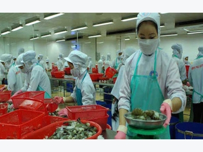Triển vọng thị trường nông nghiệp Việt 2017: Lo nhất là lúa gạo