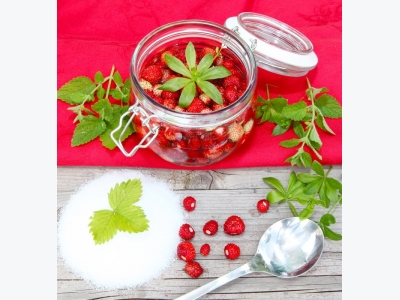 Easy Way How To Grow Wild Strawberries – Complete Guide