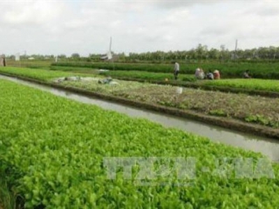 Tra Vinh calls for investment in industrial, agricultural projects