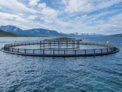 What does the salmon net pen of the future look like?