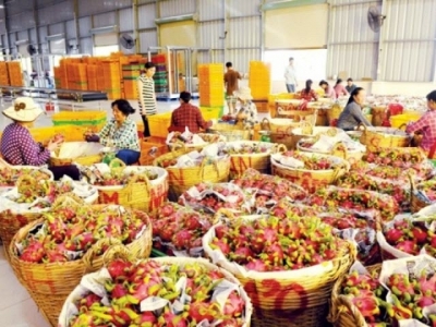 The agriculture sector is confident to export the whole year to $US 40.5 billion