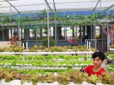 Harvesting the potential of the organic cafe