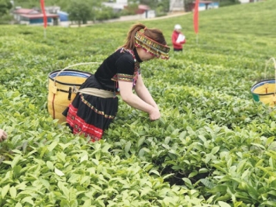 The exports of agricultural products worth billion dollars slide down