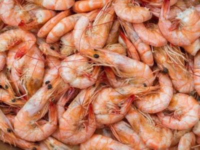 Prebiotic use in feed may boost shrimp survival