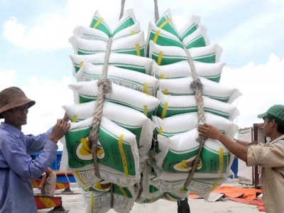 Rộng cửa xuất khẩu cho hạt gạo Việt Nam