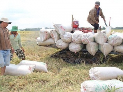 Vietnam may offer lower rice price for Philippines