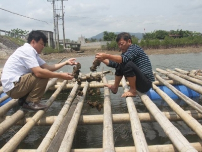 Hiệu quả từ những mô hình nuôi trồng thủy sản ở huyện Tĩnh Gia