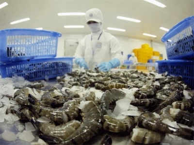 EU tops exports of Việt Nam shrimp