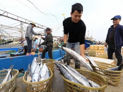 Fisheries sector enjoys great start to year