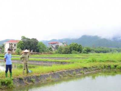 Tuyên Quang develops sustainable aquaculture