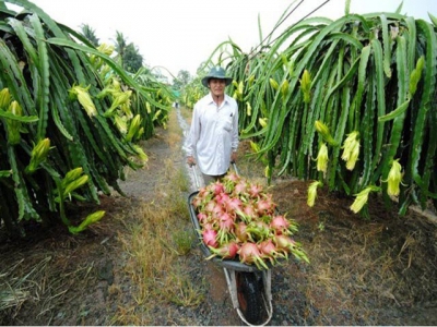 Rough road for farm exports to the EU