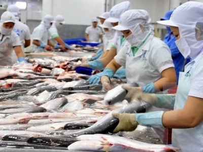 Vietnams tra fish exports to UK up almost 70% in value
