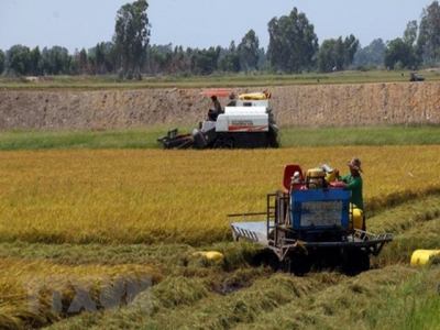 Project helps Hau Giang farmers adopt sustainable production practices