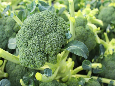 Chickens should eat their greens: broccoli may improve egg yolk color