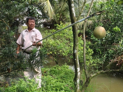 Nhà sáng chế miệt vườn và cây kéo cắt tỉa cành cây đa năng