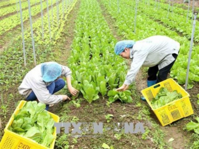 International co-operation drives agriculture development