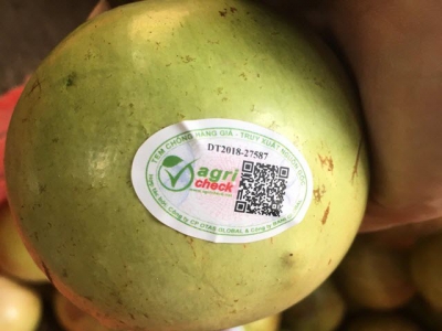 Tan Yen stamps on farm produce for origin traceability