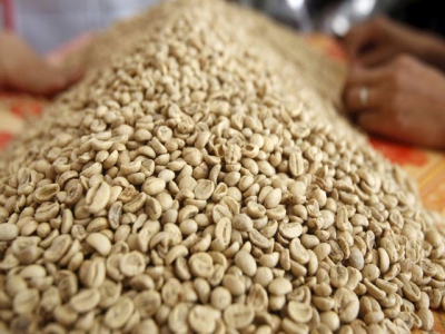 Vietnam April coffee exports seen falling to 2 million 60-kg bags