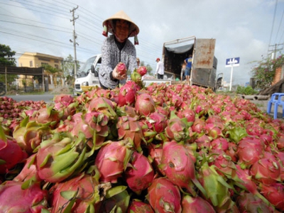 Vietnam seeks new markets for farm produce