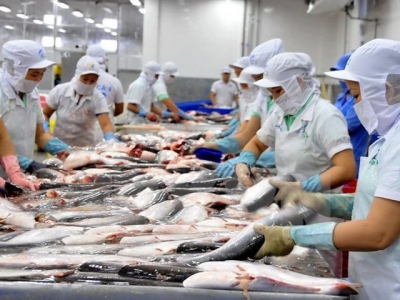 Aquatic product exports decline by more than 35 percent